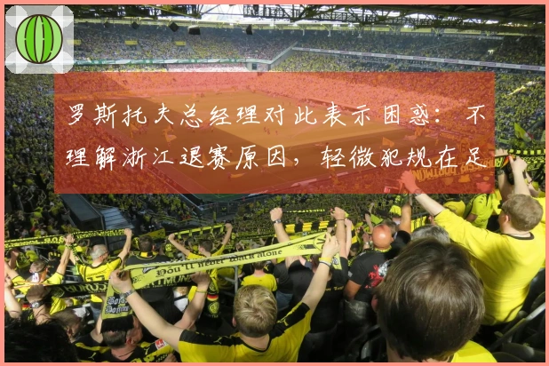 罗斯托夫总经理对此表示困惑：不理解浙江退赛原因，轻微犯规在足球中常见