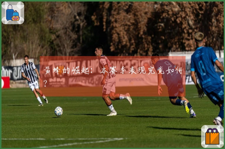 黄蜂的崛起：本赛季表现究竟如何？