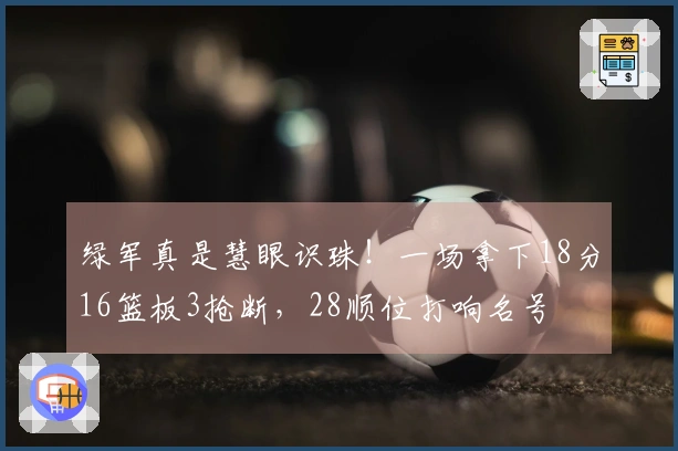 绿军真是慧眼识珠！一场拿下18分16篮板3抢断，28顺位打响名号